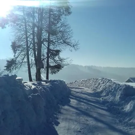 Wielki Potok Διαμέρισμα