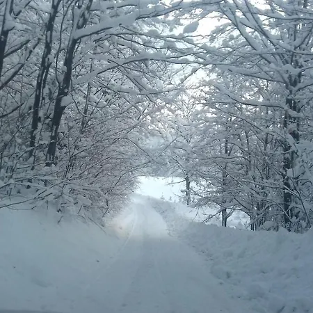 Wielki Potok Διαμέρισμα Istebna