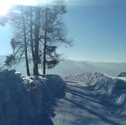 Wielki Potok Lägenhet