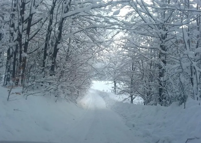 Wielki Potok Lägenhet Istebna