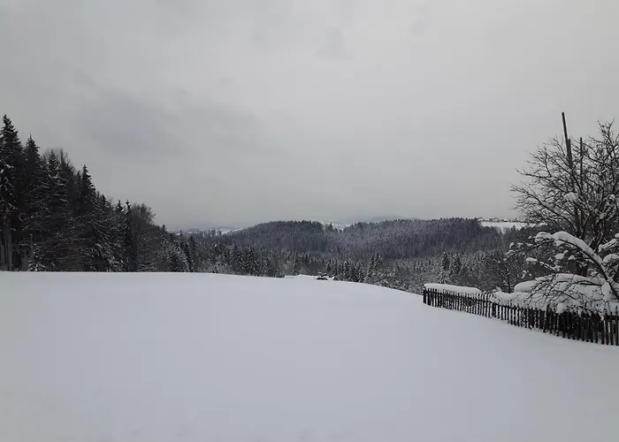 Apartment Wielki Potok